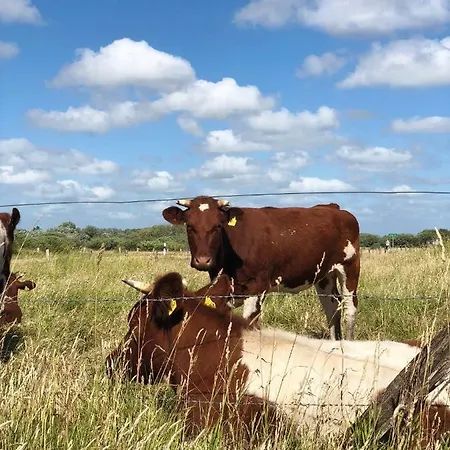 Apartament Hafencity